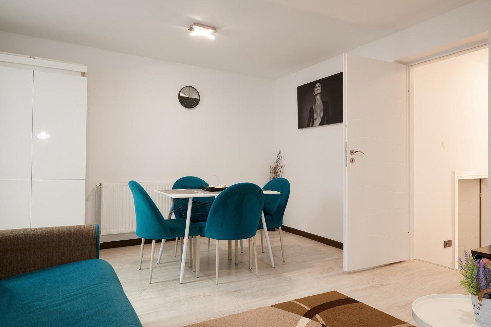Giovi Central Apartment 克卢日-纳波卡 外观 照片